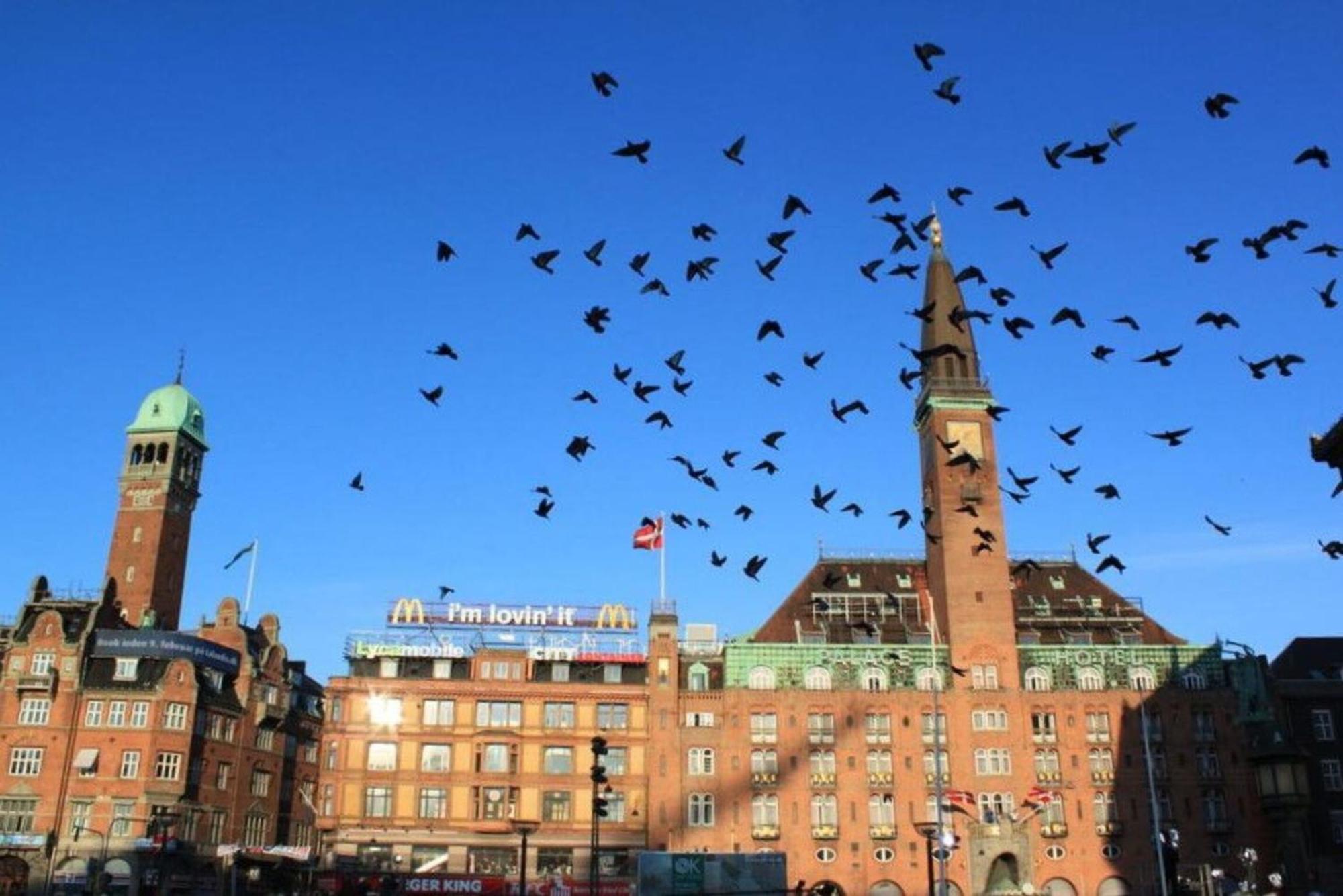 Apartmentincopenhagen 1556 Lejlighed København